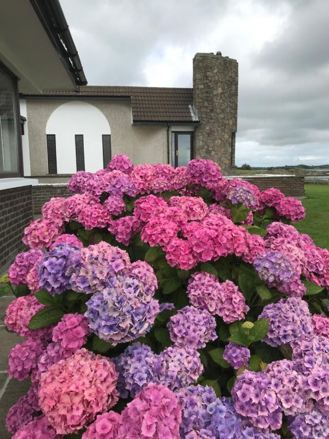 Castlepoint Villa Strangford Exterior photo